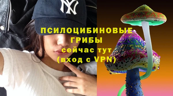 Альфа ПВП Алзамай