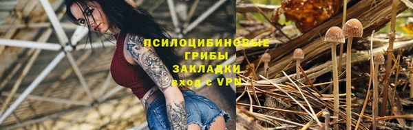 Альфа ПВП Алзамай