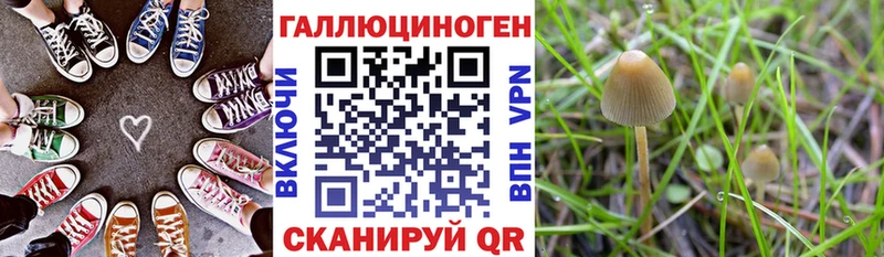Галлюциногенные грибы Psilocybine cubensis  Купить  Бородино 